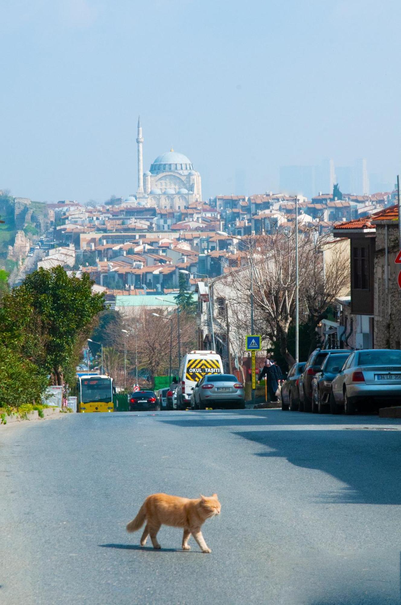 Istanbul Efes Hotel Εξωτερικό φωτογραφία